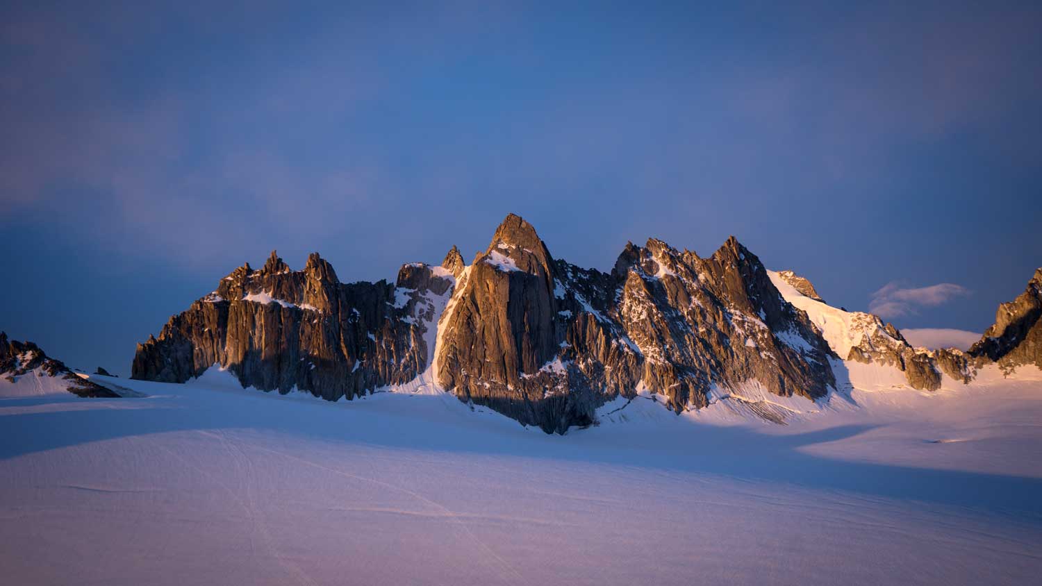 Lever de soleil aux aiguilles dorées